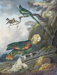 Франсуа Котибер - фото 1